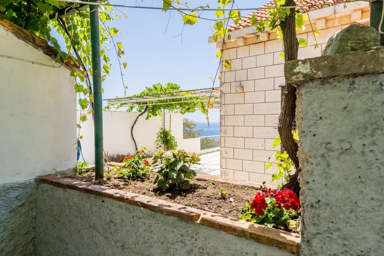 Apartment Marija Close To Old Town Дубровник Екстериор снимка